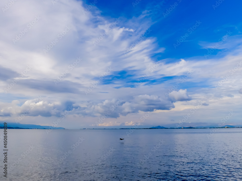 琵琶湖を低空飛行していく鳥　湖面すれすれを飛ぶ