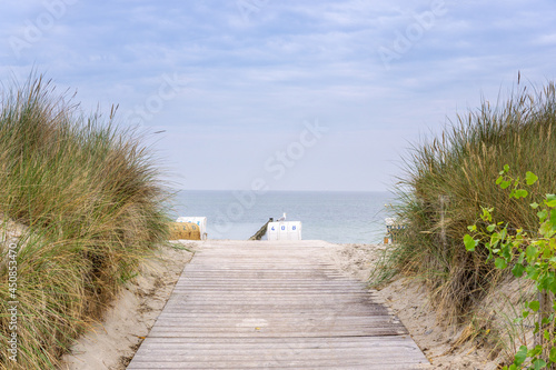 Möwe auf einem Strandkorb, Ostsee