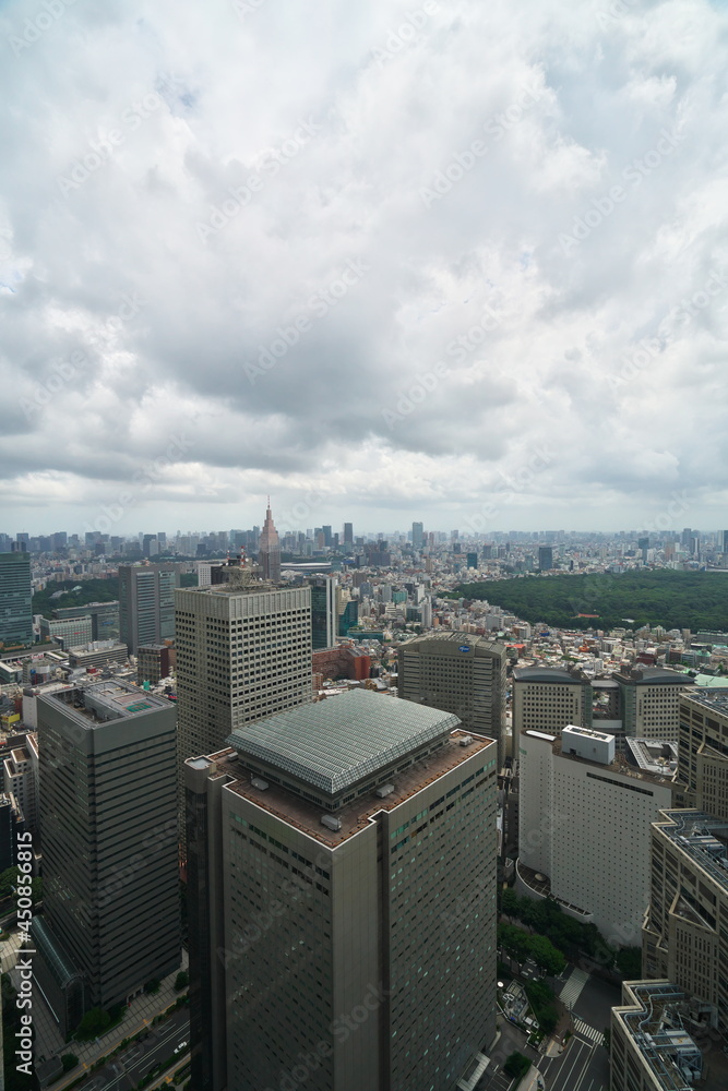 曇り空での都庁からの眺め