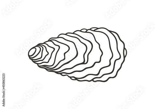 Oyster outline. Isolated oyster  on white background