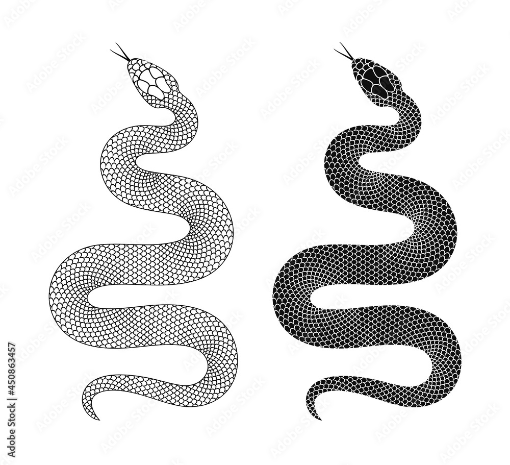 Snake logo. Isolated snake on white background Snake logo. Isolated snake on white background