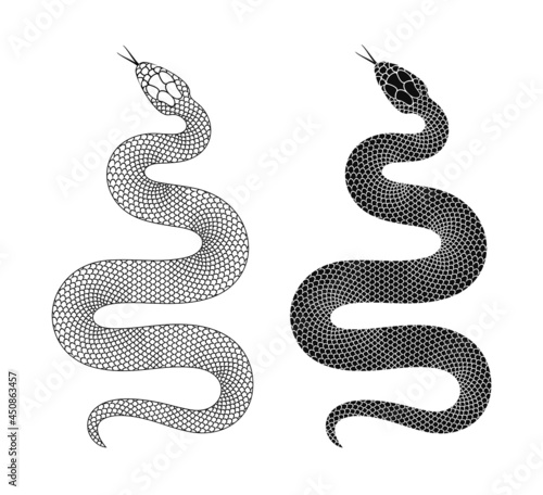 Snake logo. Isolated snake on white background