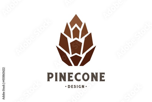 Simple Minimalist Geometric Pine Cone Logo Design Vector