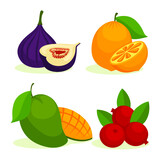 Flat Fruit Collection_2_14.