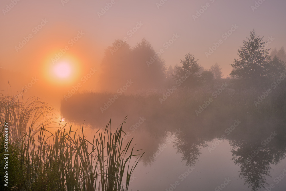 morning mist over the river