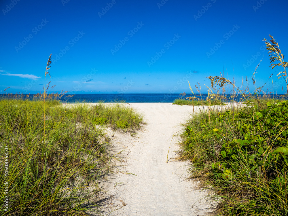 Path to Nokomis Beach in Southwest Florida on the Gulf of Mexico in Nokomis Florida USA Path to Nokomis Beach in Southwest Florida on the Gulf of Mexico in Nokomis Florida USA