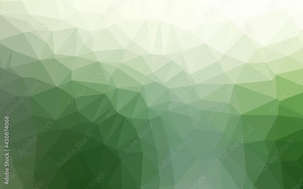 Light Green vector abstract polygonal cover. Light Green vector abstract polygonal cover.