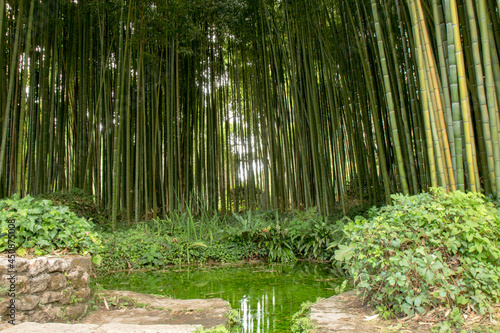 giardini di ninfa
