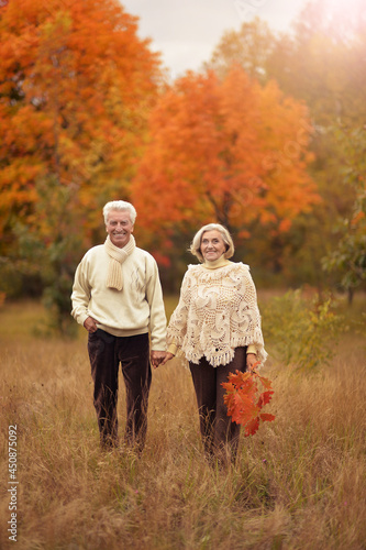 Portrait of happy senior woman and man