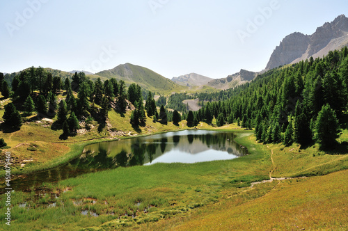 Lac miroir et for  t de pins au-dessus du village de Ceillac  Parc naturel r  gional du Queyras  Alpes du Sud  France.