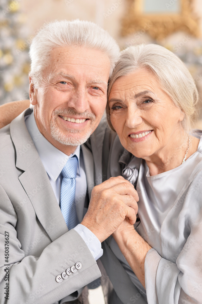 Portrait of a hugging senior couple on blurred background Portrait of a hugging senior couple on blurred background