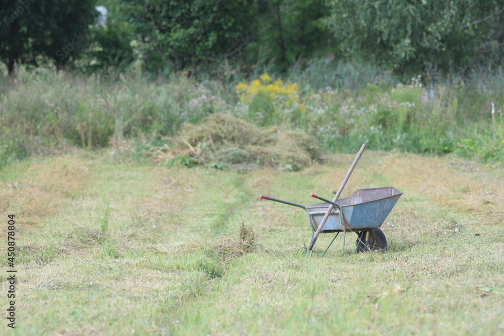 wheelbarrow in the grass
