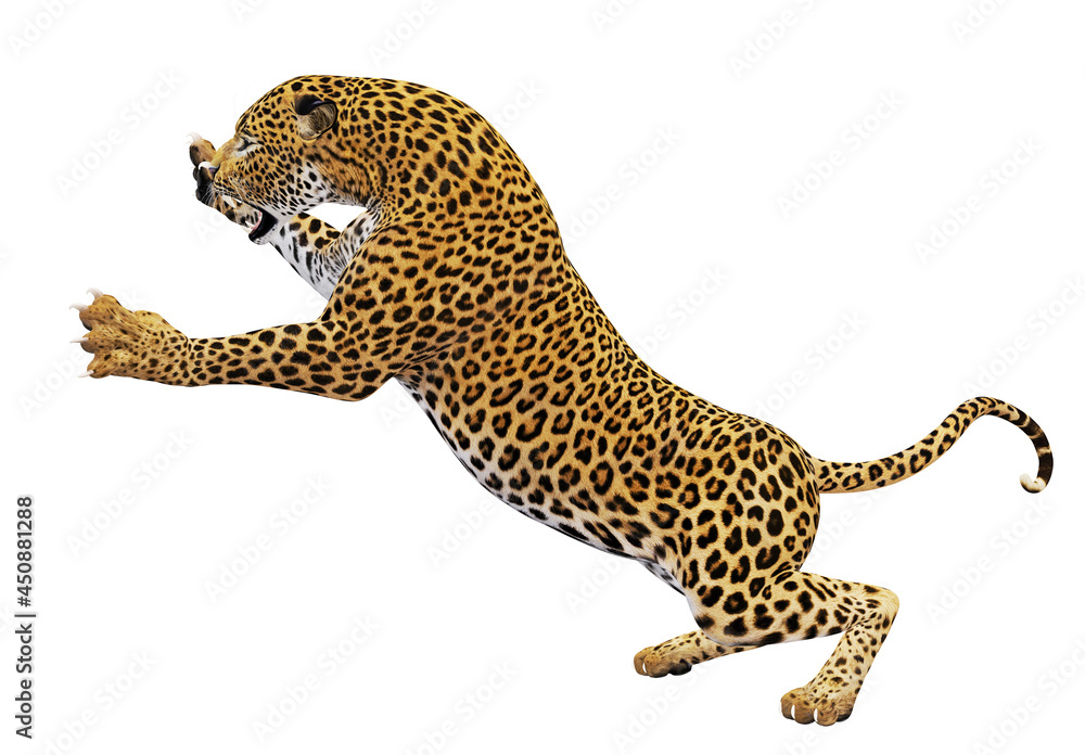 Fototapeta premium 3D Leopard attacking