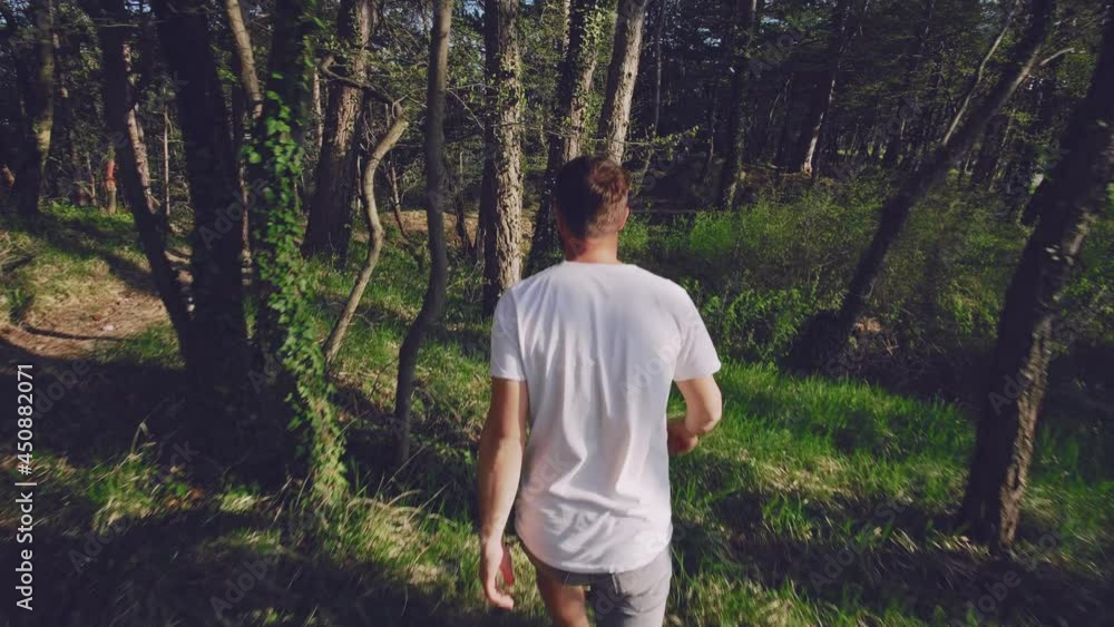 person in the forest person in the forest