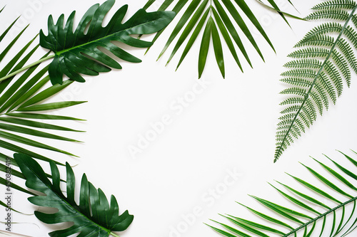palm leaf on white background.