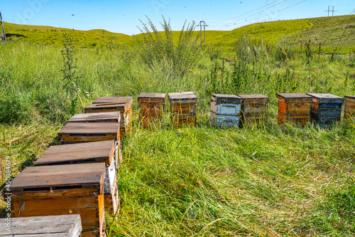 Outdoor grassland beekeeping beehive