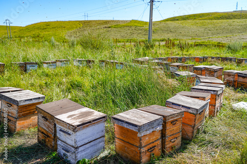 Outdoor grassland beekeeping beehive