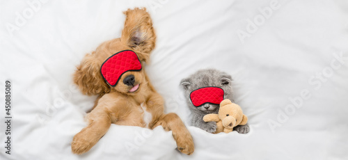 Funny English Cocker Spaniel puppy and tiny kitten wearing sleeping masks sleep together on a bed at home. Kitten hugs toy bear. Top down view
