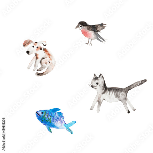 Hand drawn watercolor pet animals set.