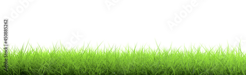 3D illustration Panorama Greasy green grass cut out and isolated on white background for template and banner design