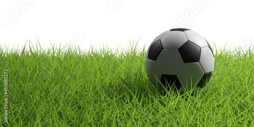 3D illustration Soccer ball on a grass field isolated on a white background