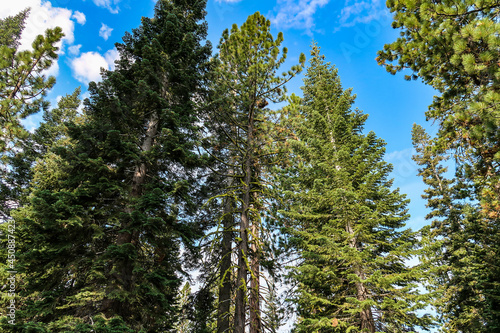 Lassen Volcanic National Park, California USA