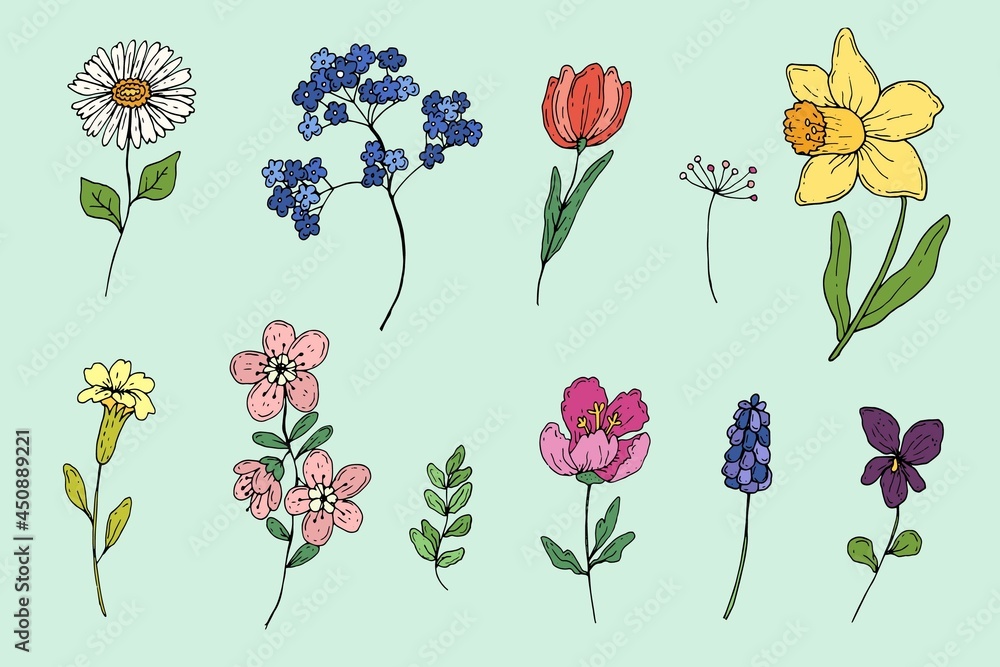 Hand Drawn Spring Flower Collection 3