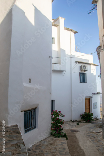Narrow street of Mairena de la Alpujarra with white houses and blue windows with ruderal plants that grow from the slate floor