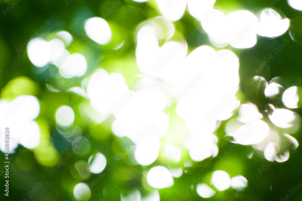 Abstract Blurred Natural Bright Background Abstract Blurred Natural Bright Background