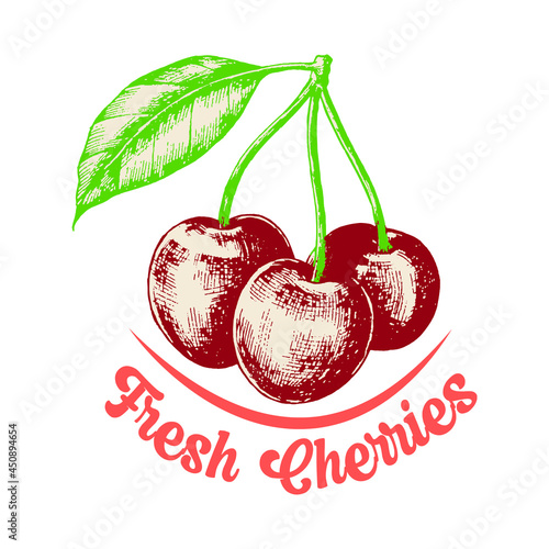 Fresh cherries slogan t shirt design