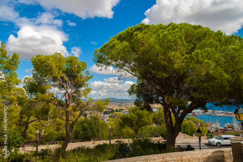 Majorca Island, a port on the Balearic Sea coast