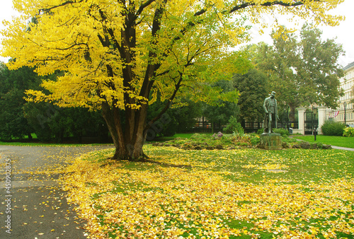 Photography Autumn in Vienna