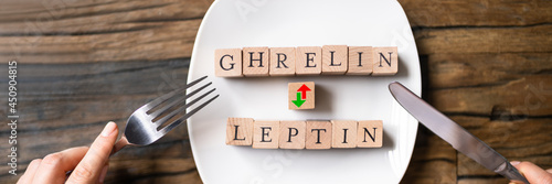 Tableau sur toile Ghrelin And Leptin Hunger Hormons. Diet
