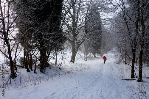 Wallpaper Mural Winter Weather - North Yorkshire in the United Kingdom. Torontodigital.ca