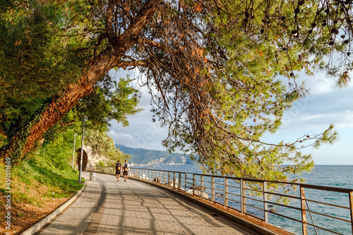 Quadro su tela Picturesque seafront promenade under huge pine trees in Herceg Novi, Montenegro