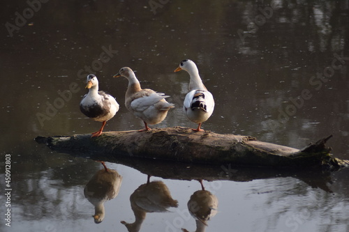 three friends