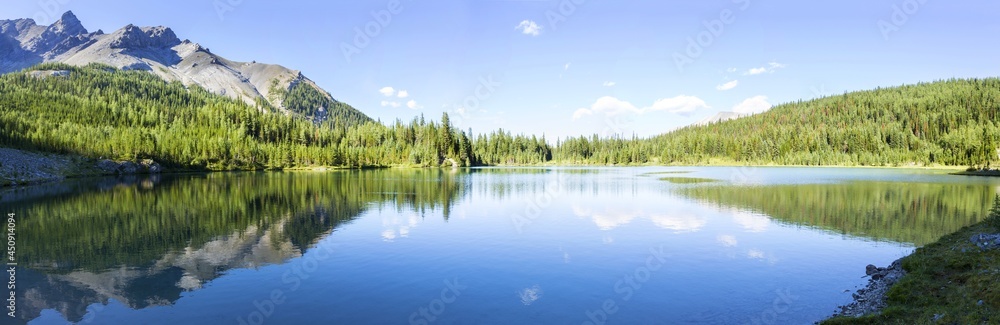 Panoramic Landscape View Green Alpine Evergreen Forest and Rugged Peaks of Sawback Mountain Range reflected in Calm Water of Elk Lake. Summertime Hiking Banff National Park, Alberta, Canadian Rockies