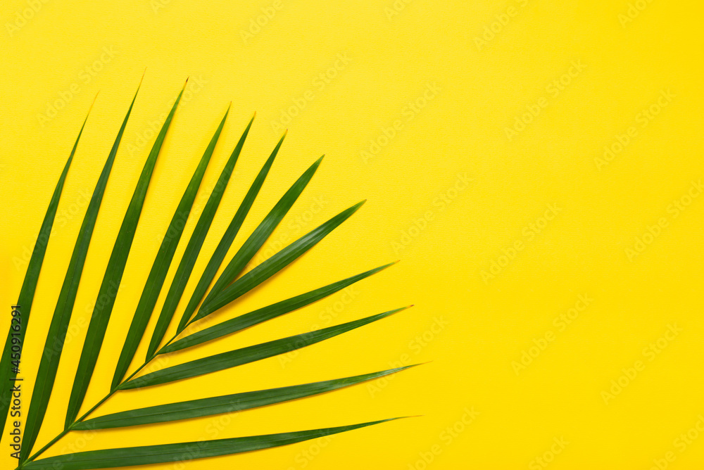 Fototapeta premium Top view of green tropical palm leaves on yellow background. Summer concept with palm leaves. Vacation, holiday, travel, sun background
