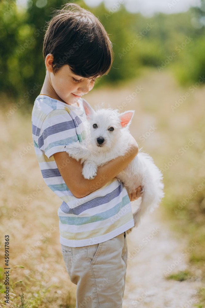 Friendship of a child with a dog. Happy boy holding a West Highland White Terrier puppy in his arms. The child walks with his puppy in the summer in the park. Friendship of a child with a dog. Happy boy holding a West Highland White Terrier puppy in his arms. The child walks with his puppy in the summer in the park.