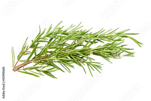 Rosemary herb leaves isolated on white © mikeosphoto