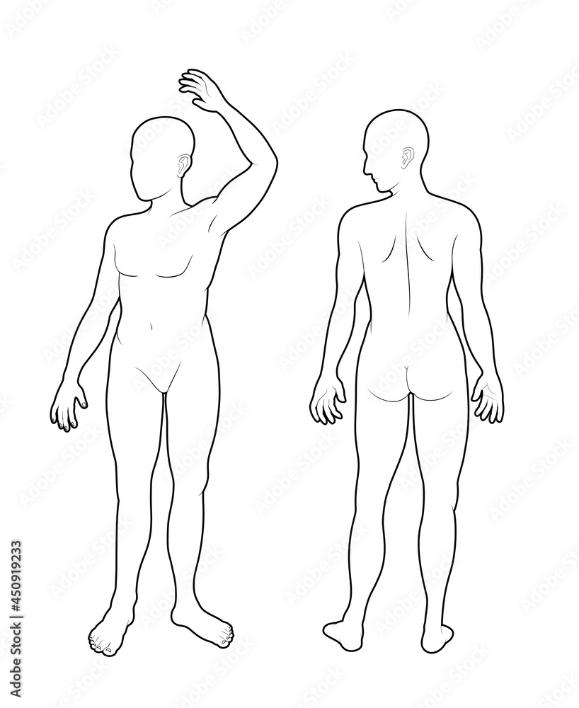 human body outline front and back vector illustration man Stock