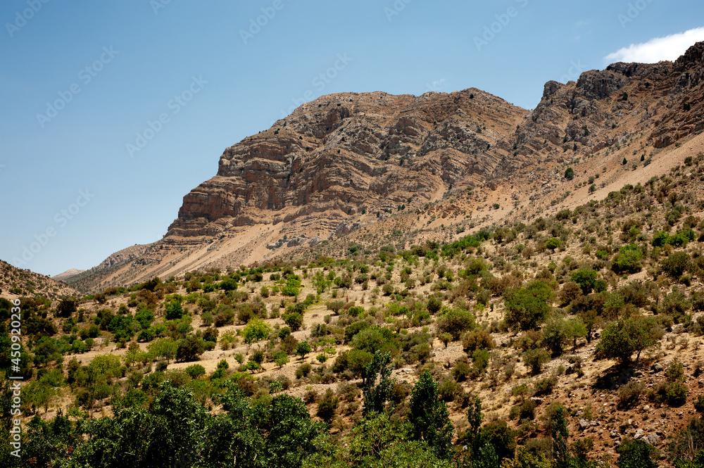 Rocky Mountains with oak trees at noon, A panoramic view of mountains, leading by Longs Peak, Rocky Mountain marvdasht, shiraz, Iran