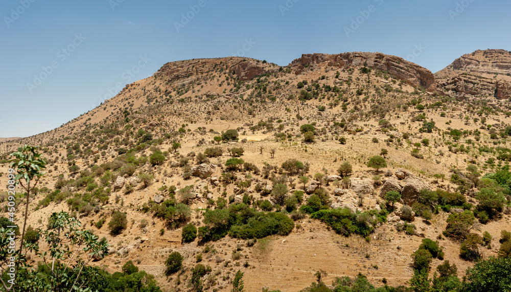 Rocky Mountains with oak trees at noon, A panoramic view of mountains, leading by Longs Peak, Rocky Mountain marvdasht, shiraz, Iran Rocky Mountains with oak trees at noon, A panoramic view of mountains, leading by Longs Peak, Rocky Mountain marvdasht, shiraz, Iran