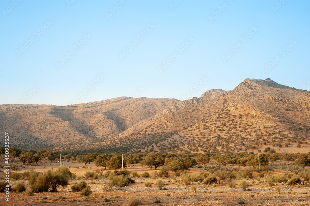 Rocky Mountains with oak trees at sunset, A panoramic view of northern Front Range mountains, leading by Longs Peak at left, on a late Summer evening. Rocky Mountain marvdasht, shiraz, Iran