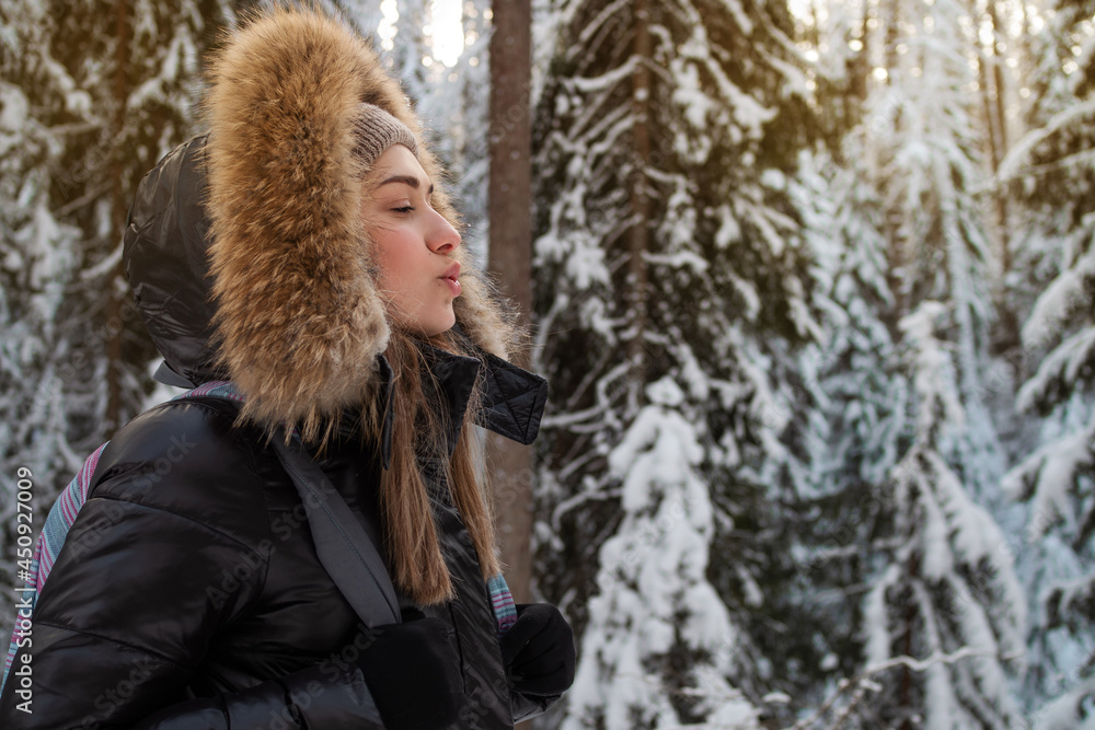 Winter walk through the forest, snow-covered beautiful pine forest. Winter walk through the forest, snow-covered beautiful pine forest.
