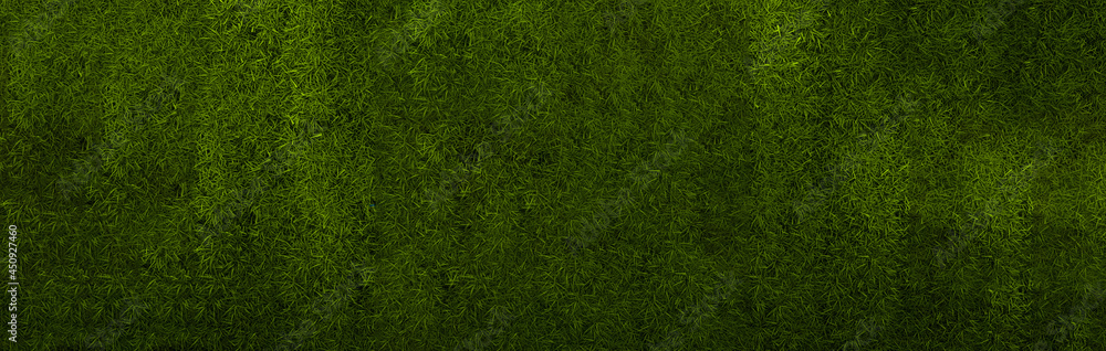 Grass background. Green grass pattern. Grass background. Green grass pattern.