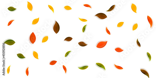 Falling autumn leaves. Red, yellow, green, brown n