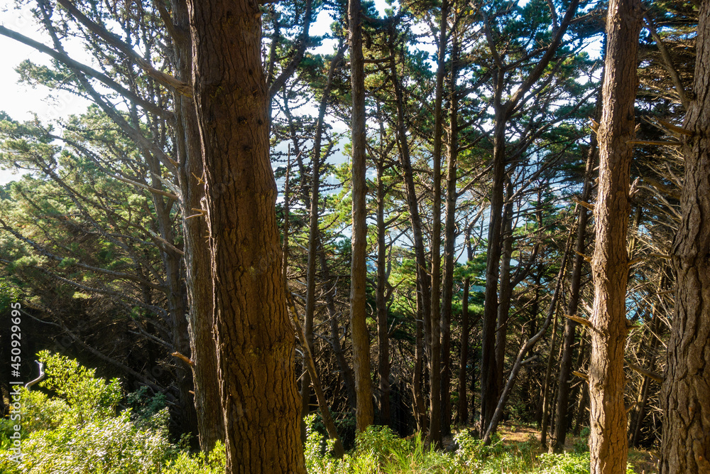 Fototapeta premium ニュージーランドのウェリントンの観光名所を観光している風景 Wellington, New Zealand Scenes of sightseeing in