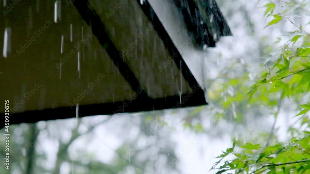 雨 家の屋根を伝って落ちる雨粒 スローモーション Stock Video | Adobe Stock