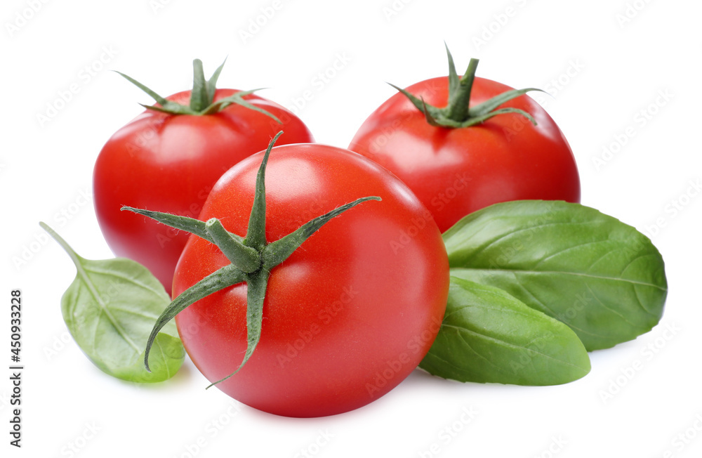 Fresh green basil leaves and tomatoes on white background Fresh green basil leaves and tomatoes on white background